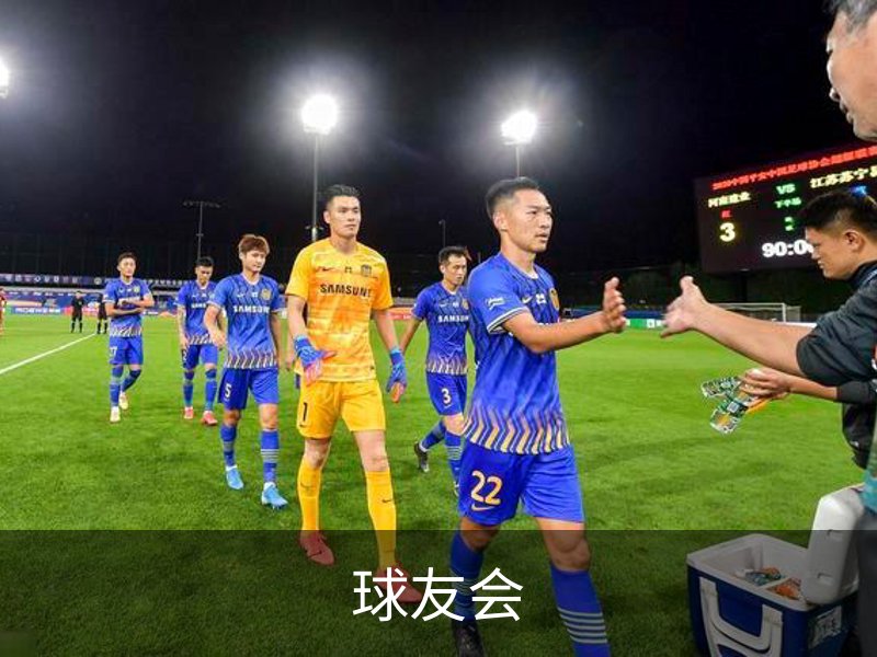 球友会概况